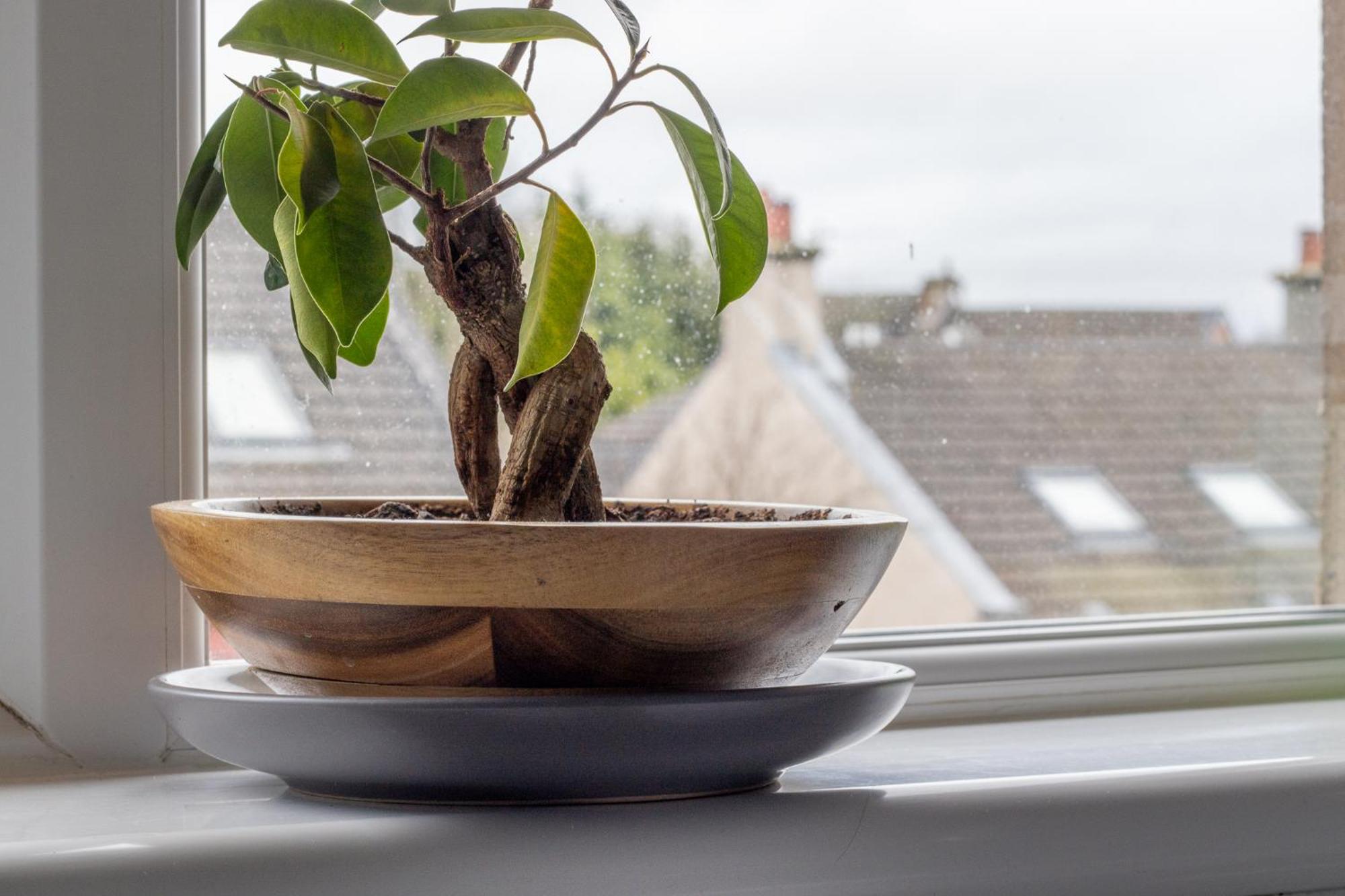 1 Bed Apartment Central Hamilton Free Wifi With Great Transport Links To Glasgow Ngoại thất bức ảnh
